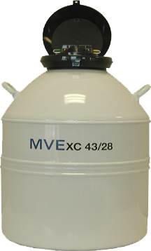 MVE XC 43/28 Cryogenic Freezer