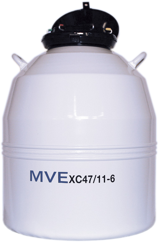 MVE brand XC 47/11-6 Cryogenic Freezer with open lid