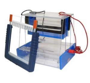 Electrophoresis Systems