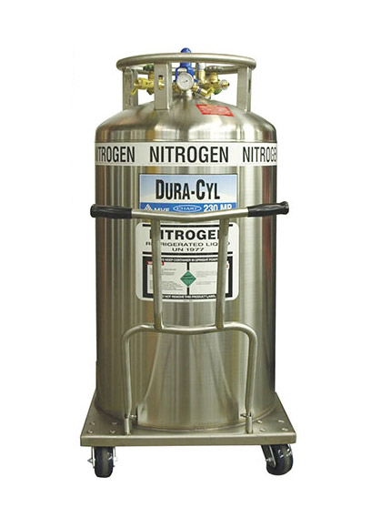 jurk computer Kolibrie Dura-Cyl 120-Liter Liquid Nitrogen (LN2) Supply Tank
