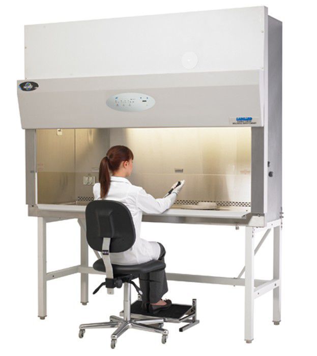 Working In A BioSafety Cabinet